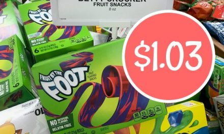 New Betty Crocker Fruit Snacks Coupon – As Low As $1.03 Per Box In The Upcoming Publix Ad