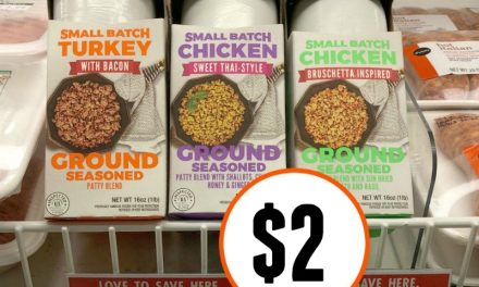Mighty Spark Ground Meat – Just $2 At Publix