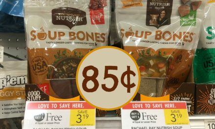 Rachael Ray Nutrish Soup Bones Only 85¢ At Publix