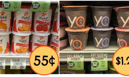 Lots Of New Yogurt Coupons To Print – Grab Your Favorites And Save At Publix