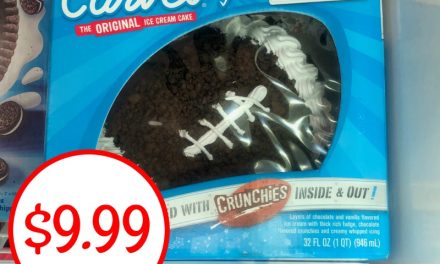 Carvel Game Ball Ice Cream Cake Just $9.99 At Publix (Save $6)