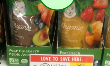 Gerber Baby Food Pouches Only 38¢ At Publix (Plus 75¢ Jars & Snacks)