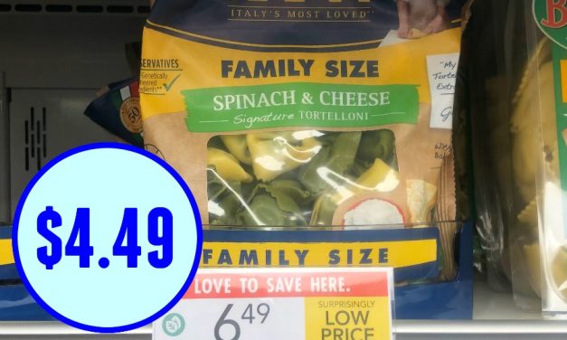 New Rana Pasta Coupon For The Publix Sale – BIG Bags Just $4.49