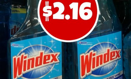 Windex Coupon For Publix Sale – Just $2.16 Per Bottle