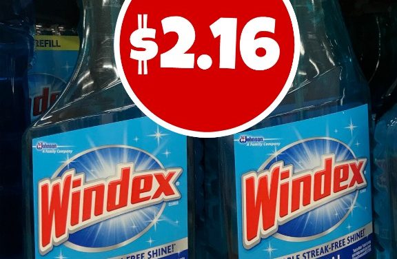 Windex Coupon For Publix Sale – Just $2.16 Per Bottle