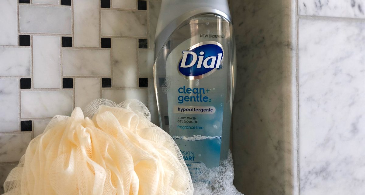 Dial Body Wash Just $2.40 Per Bottle At Publix