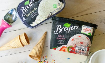 New Breyers Coupon Makes Ice Cream As Low As $2.05 At Publix