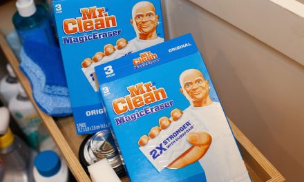 Mr. Clean Magic Eraser As Low As $1.19 At Publix