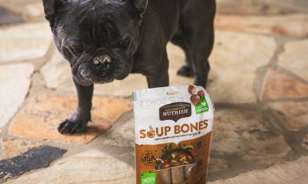 Rachael Ray Nutrish Soup Bone Treats Just 60¢ At Publix