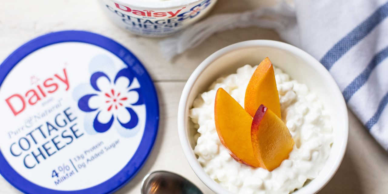 Daisy Cottage Cheese Just $1.85 At Publix (Plus $2 Sour Cream)