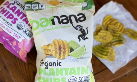 Barnana Organic Plantain Chips Now Just $1 At Publix (Regular Price $4.29)