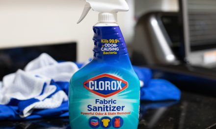Clorox Fabric Sanitizer Spray As Low As $2.05 At Publix – Less Than Half Price!