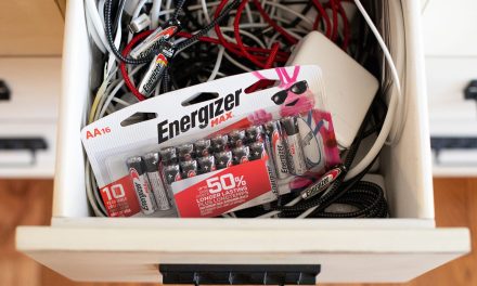 Nice Deal On Energizer Max Batteries At Publix – As Low As 74¢ Per Battery