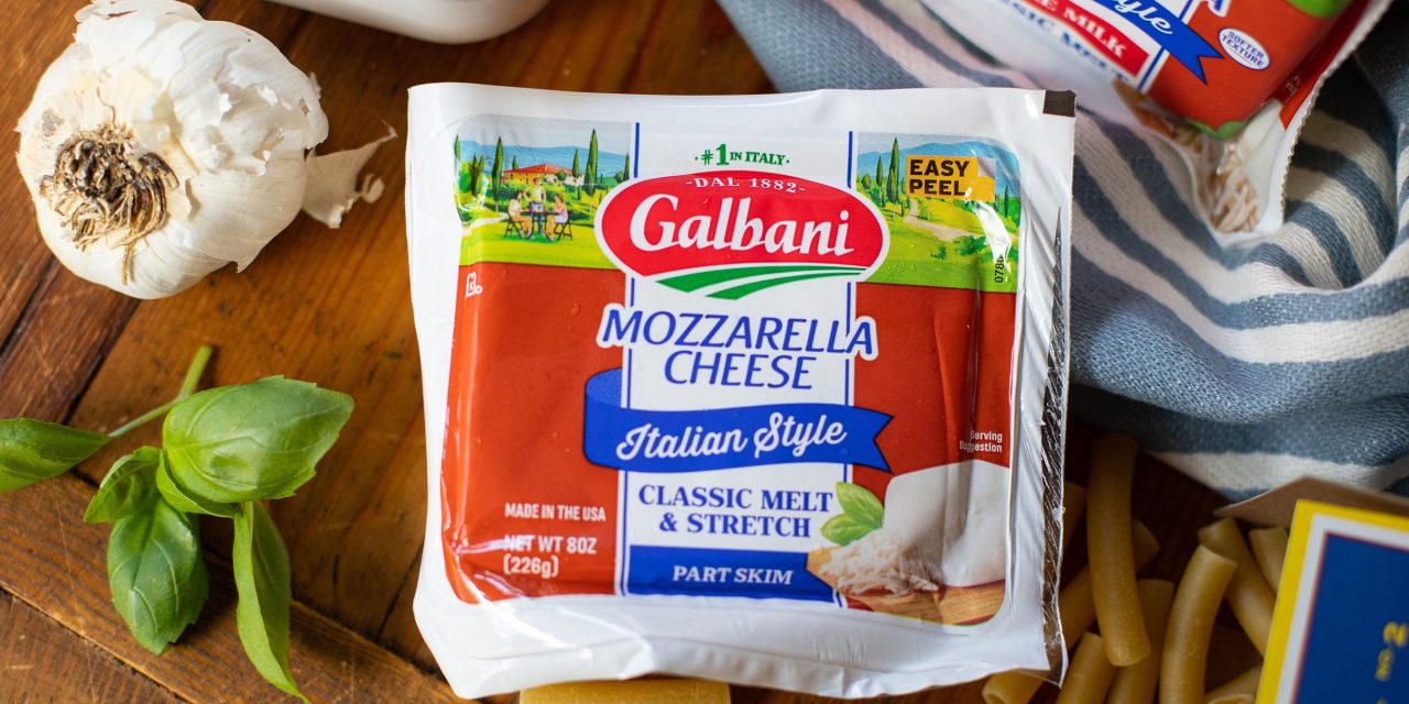 Get Galbani Mozzarella Cheese As Low As $1 At Publix (Regular Price $3.59)