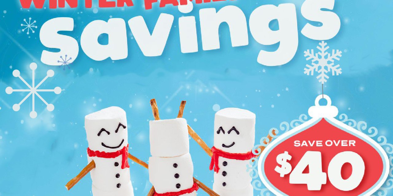 New Publix Booklet – Winter Family Savings Valid 11/13 – 12/31