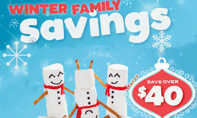 New Publix Booklet – Winter Family Savings Valid 11/13 – 12/31
