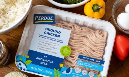 Grab A Pound of Perdue Ground Chicken For Just $3.50 At Publix