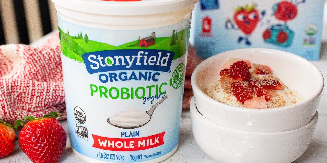 Stock Up On Your Kids Favorite Stonyfield Organic Yogurt – BOGO Sale This Week At Publix