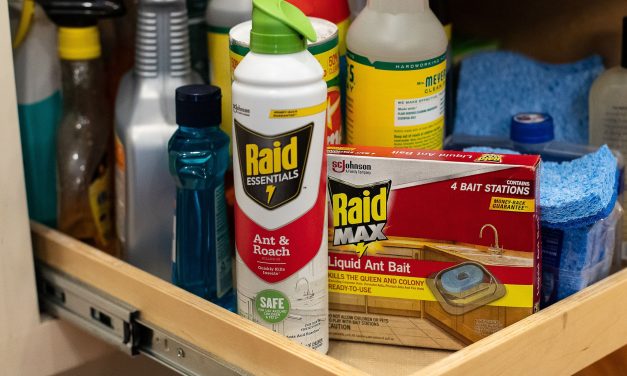 Add Raid® Essentials Ant & Roach Killer To Your Spring Cleaning Supply List & Pick Up Savings At Publix